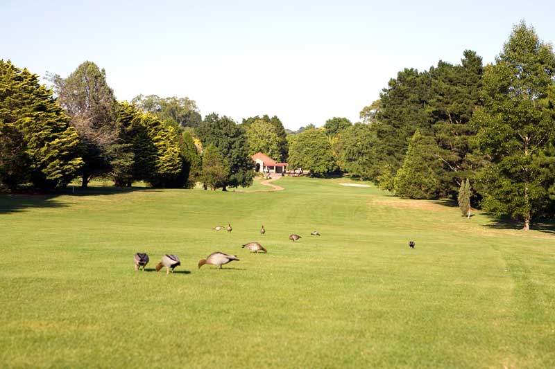 Dormie House, Moss Vale Golf Club
