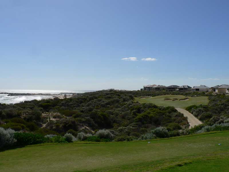 The Cut Western Australia